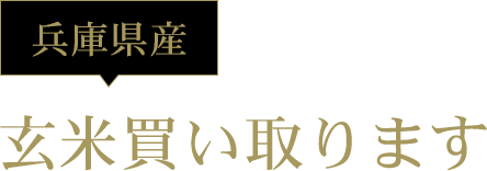 玄米買い取ります